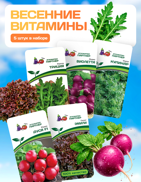 Партнер Набор ВЕСЕННИЕ ВИТАМИНЫ^ (1шт)