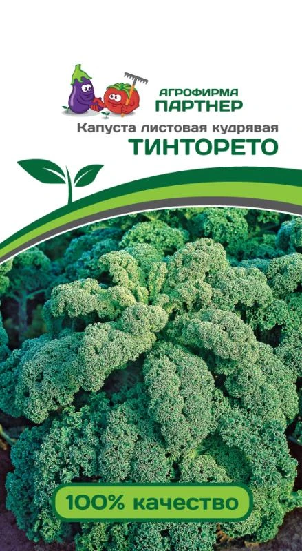 Партнер Капуста листовая кудрявая ТИНТОРЕТО ^(0,3г)