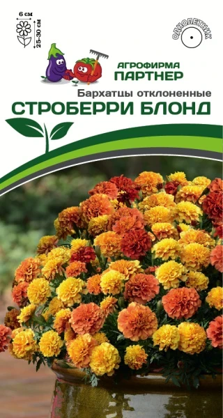 Партнер Бархатцы отклоненные СТРОБЕРРИ БЛОНД ^(10шт), изображение 0
