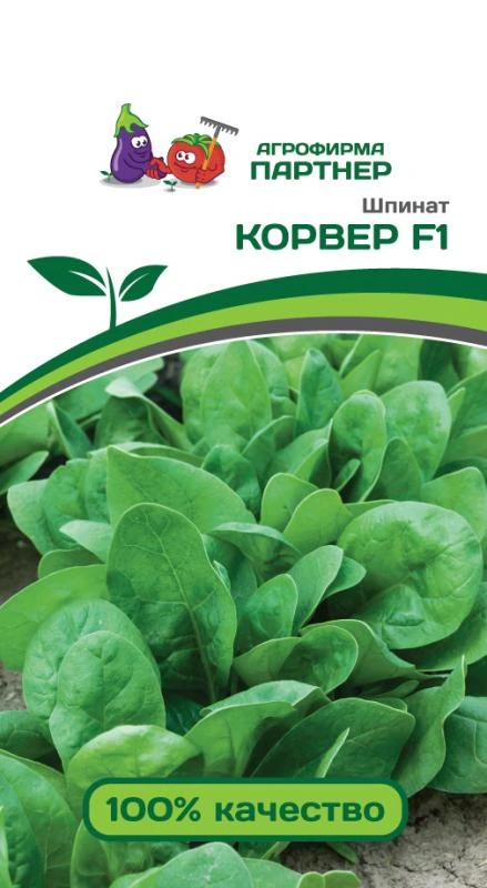 Партнер Шпинат КОРВЕР F1 ^(1г)