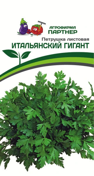Партнер Петрушка листовая ИТАЛЬЯНСКИЙ ГИГАНТ ^(2г), изображение 0